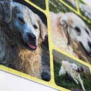 Fotocollage-Puzzle 500 Teile - $ 29.99