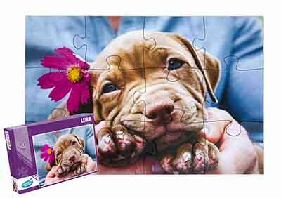 Puzzle 12 XXL pieces