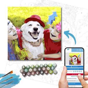 Custom Paint by Numbers 20x20 - DIY FRAME  -  Pieces