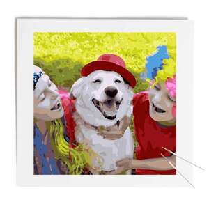 Custom Paint by Numbers 20x20 - DIY FRAME  - 20 x 20 in